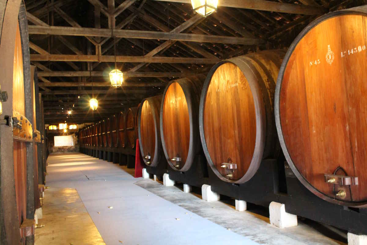 Wine Cellars JMF - Azeitão