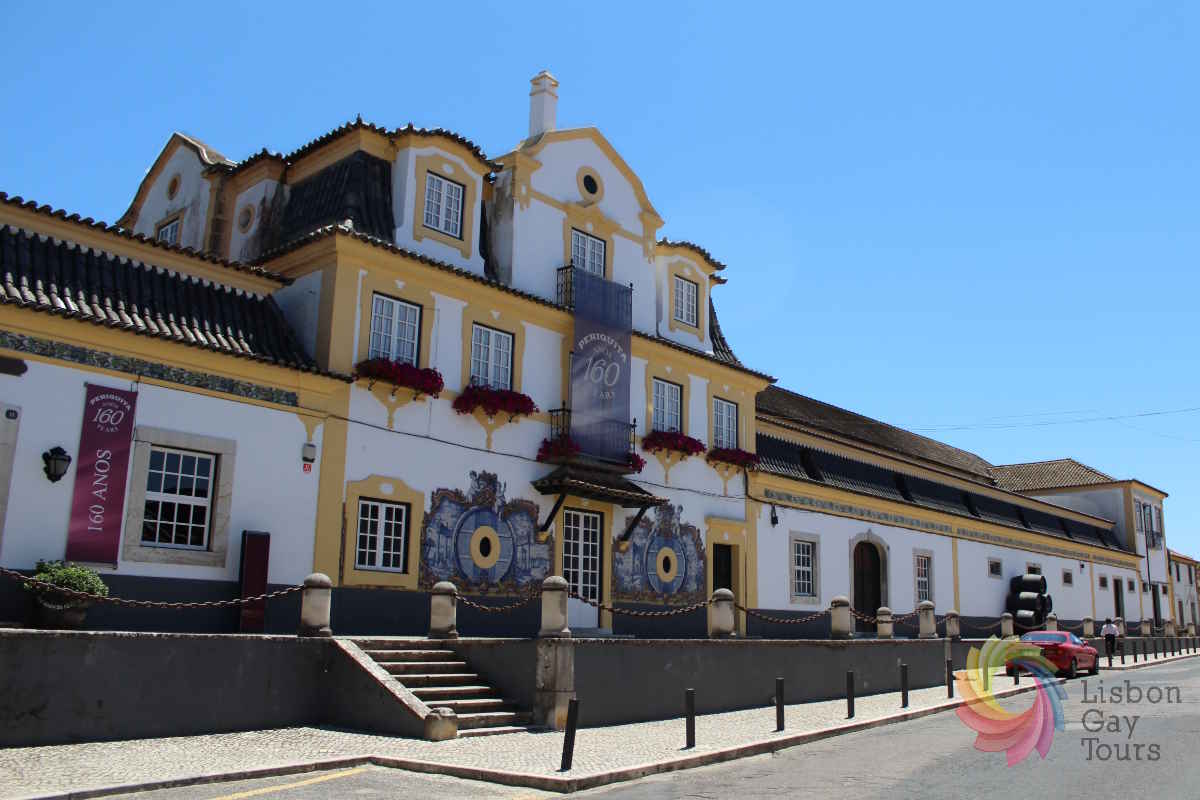 Rota Gourmet e Vinhos Memoráveis