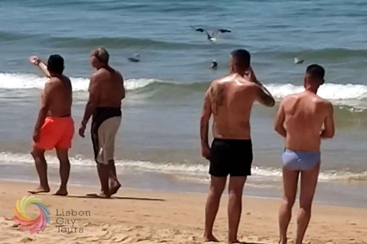 Lisbon Wine Tasting and Gay Beach 19  Full Day Tour